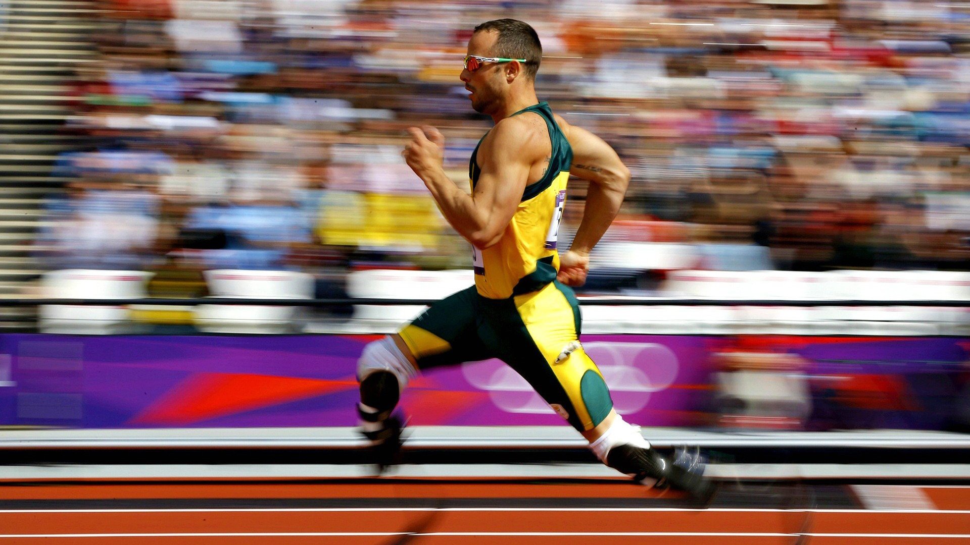 高校体育课程教学资源开发与应用，体育教学资源开发设计报告