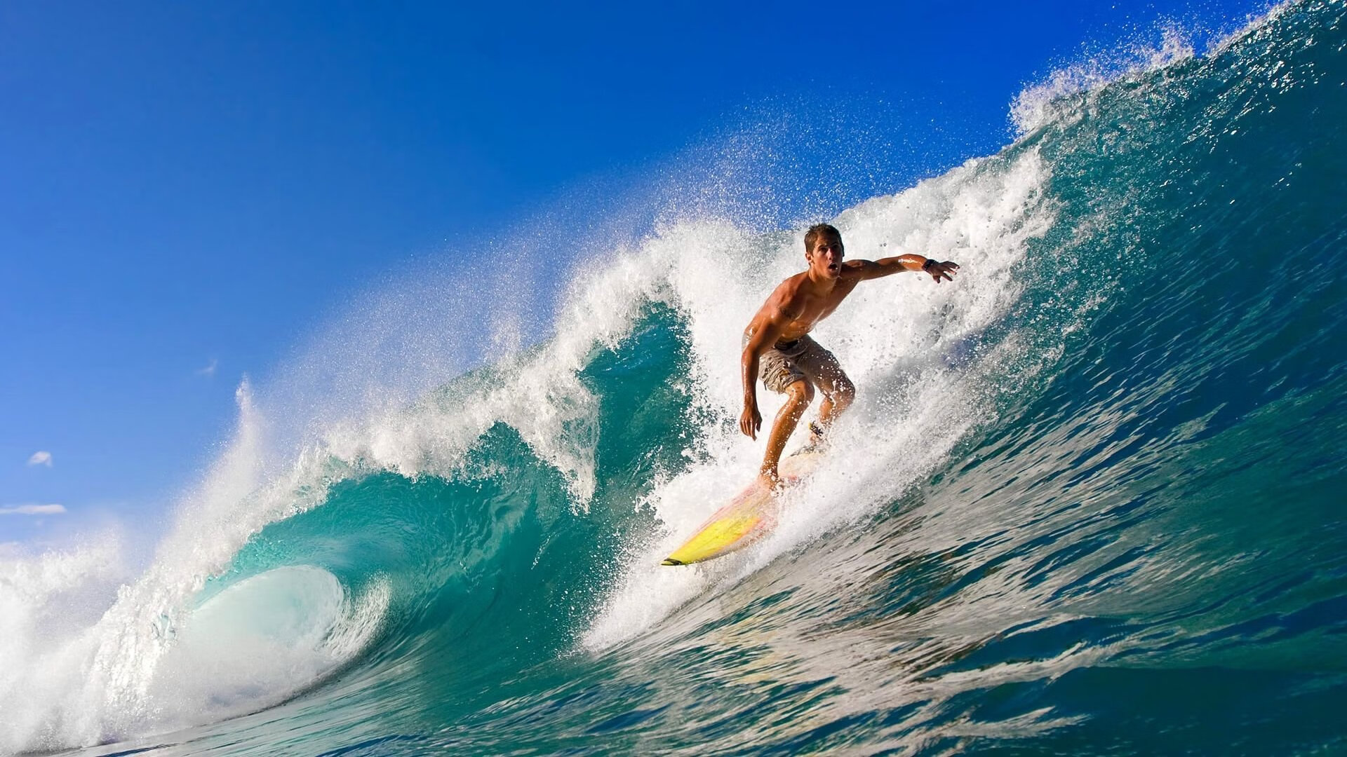 中国篮球青训体系课程标准化建设及质量保障机制，中国篮球青训系统